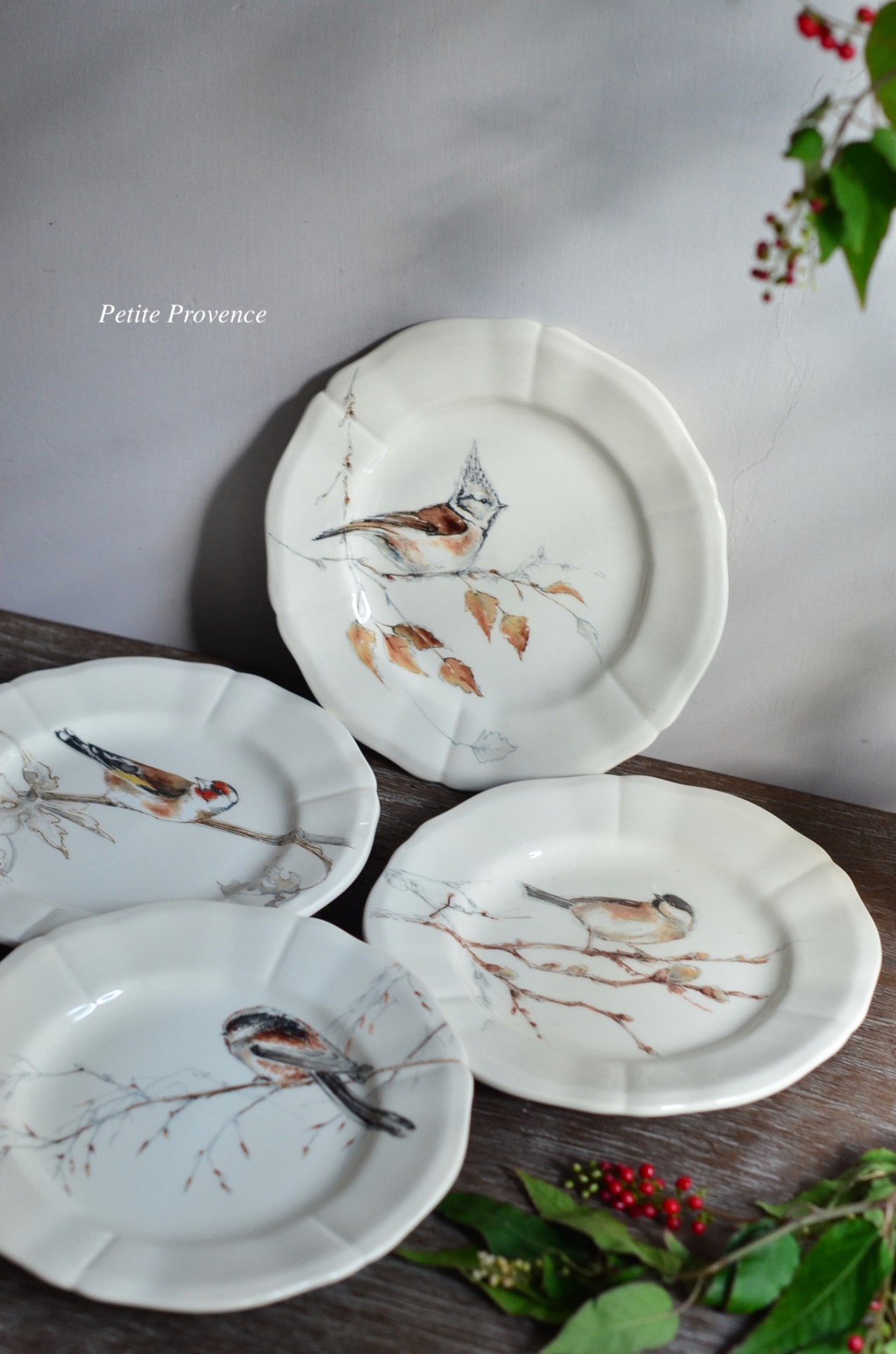 { Gienfrance }∞ OISEAUX FORET 套組 16.5cm  (4set)