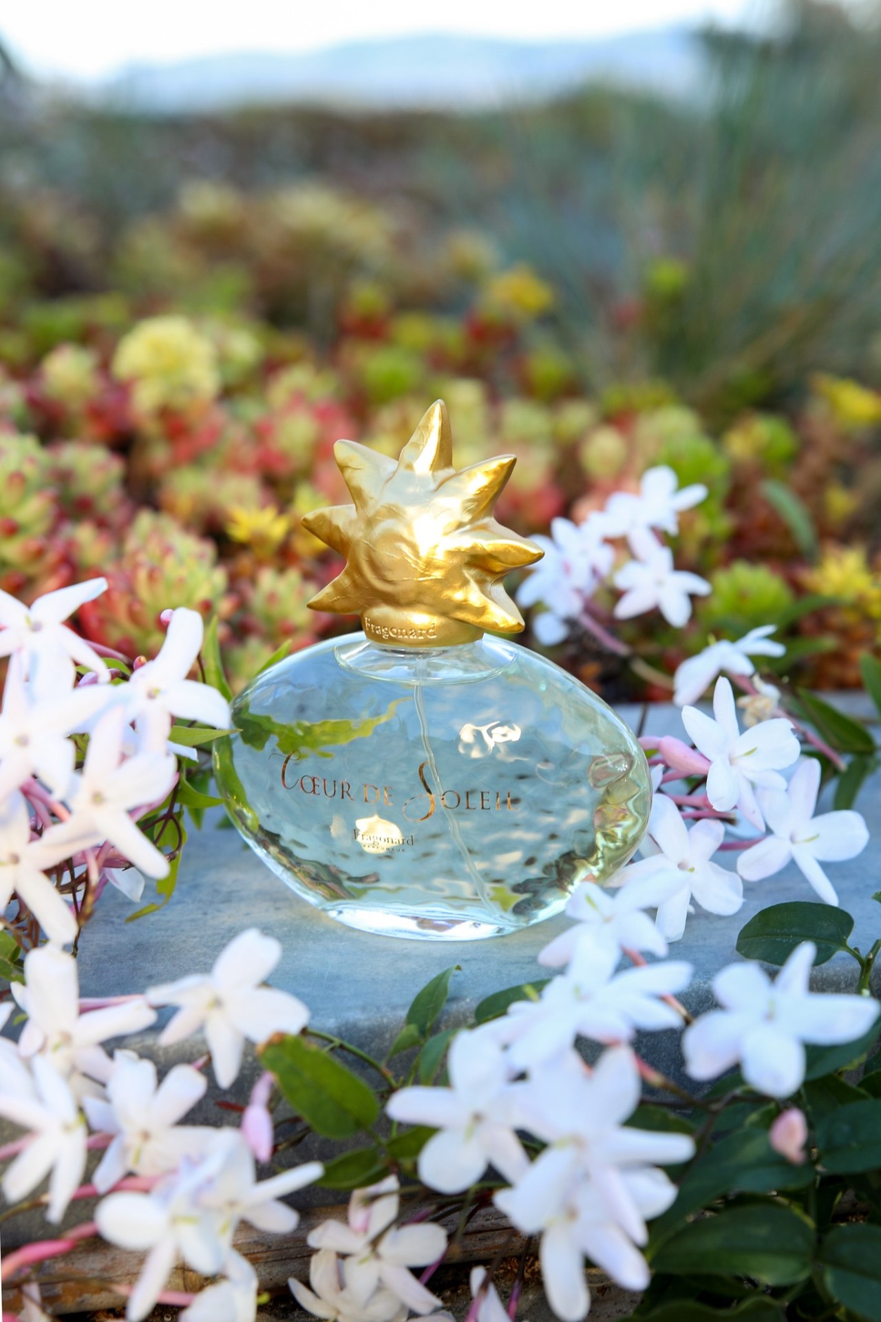 {Fragonard} ∞Coeur de Soleil ∞太陽之心 香水 50ml