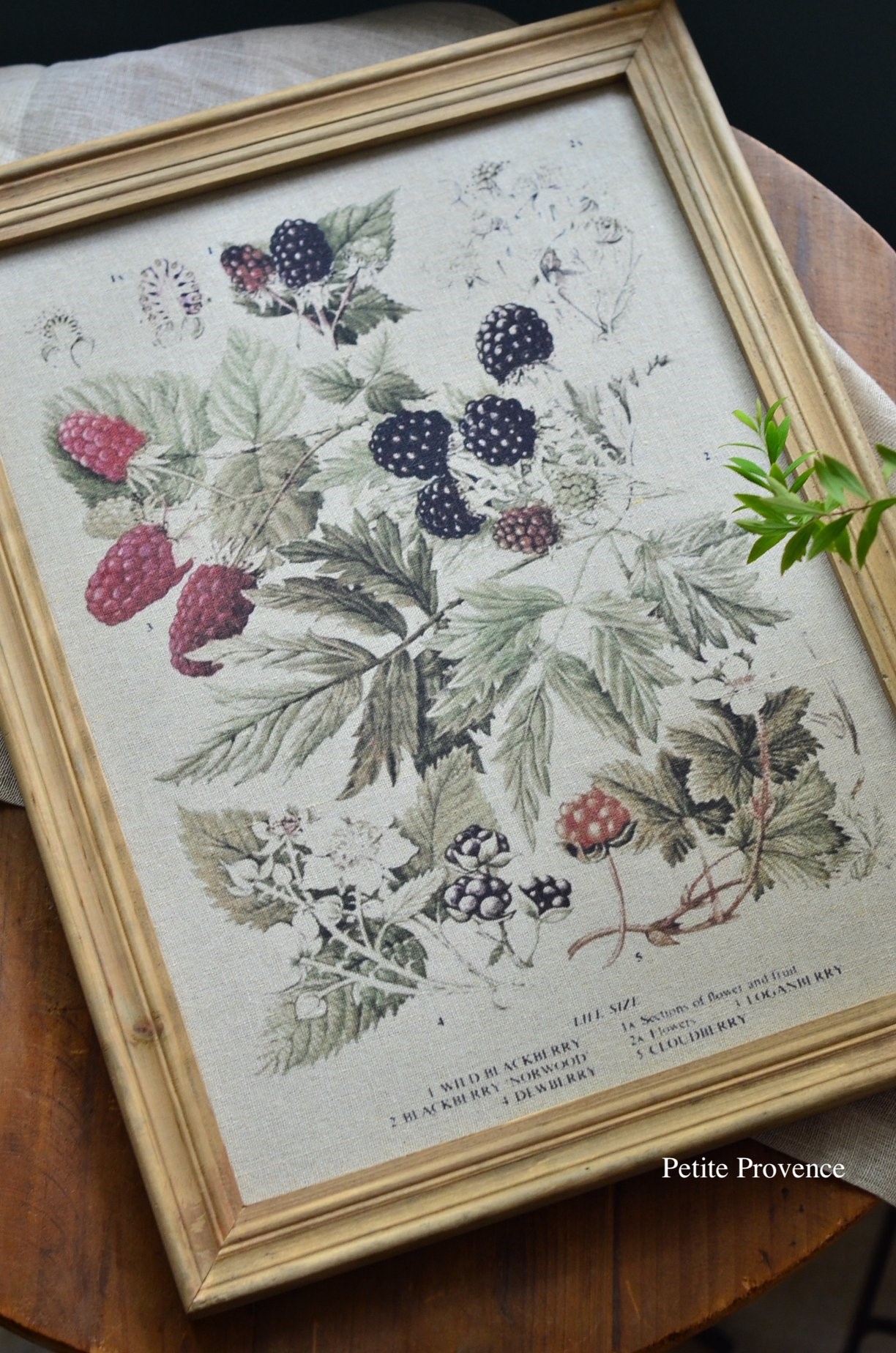 { 丹麥雜貨 } 莓果掛畫