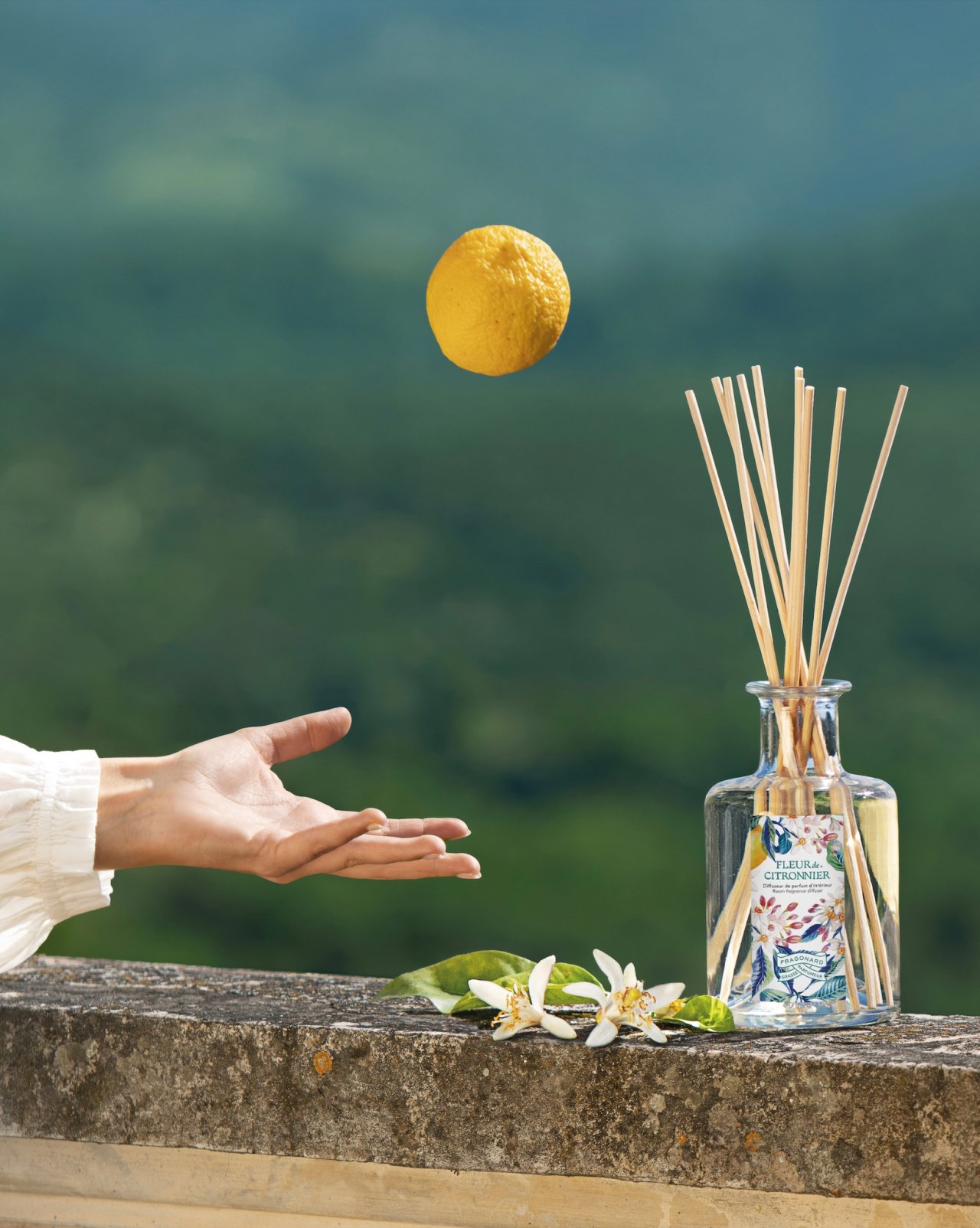 { Fragonard} ∞ 2025 年度限定∞ Fleur de Citronnier∞ 檸檬花室內擴香 200ml 