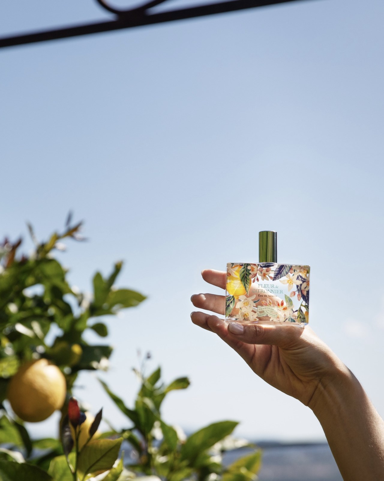 { Fragonard} ∞ 2025 年度限定∞ Fleur de Citronnier 檸檬花 淡香水
