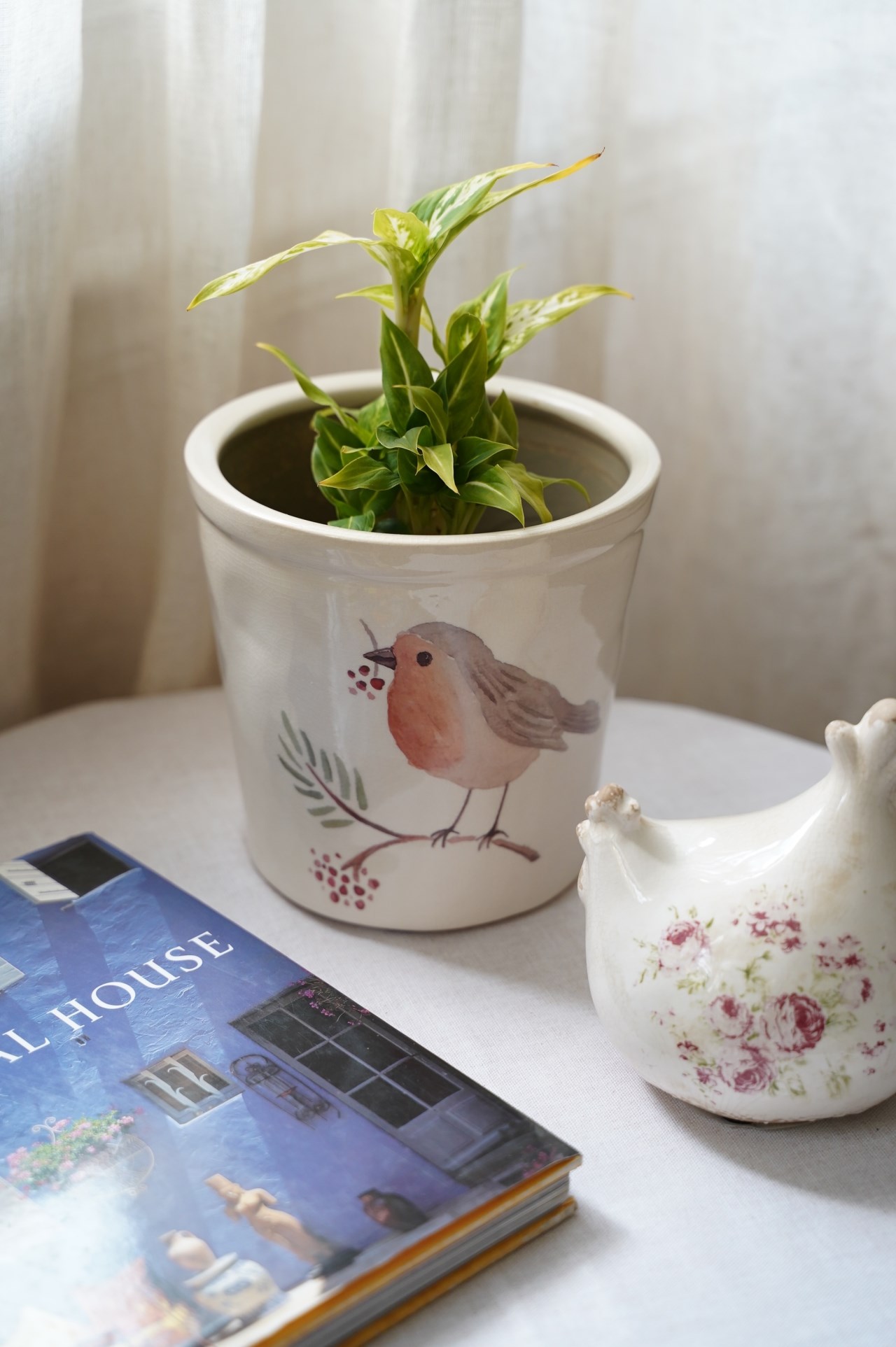 { 荷蘭雜貨 } ∞ 雀鳥花盆