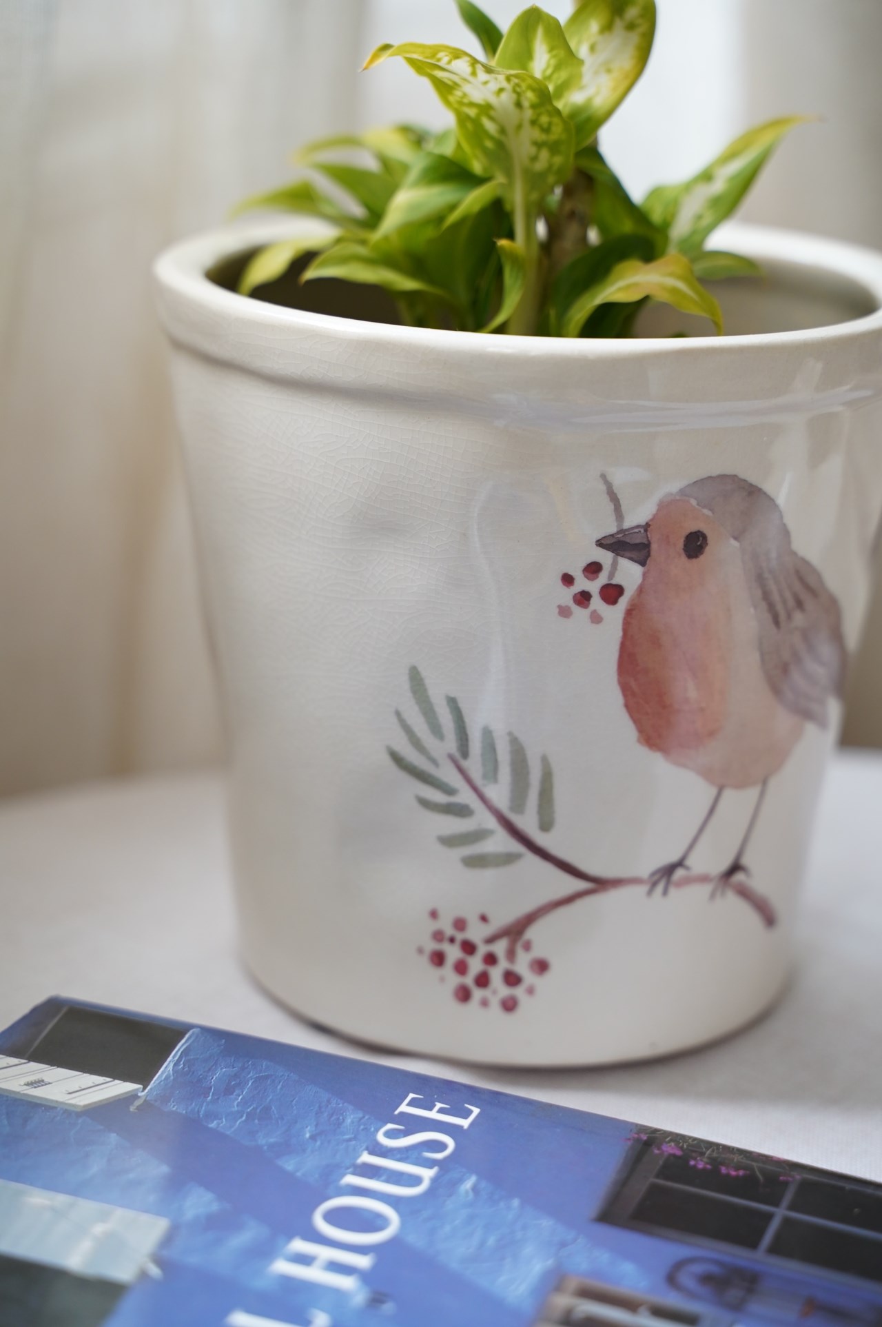 { 荷蘭雜貨 } ∞ 雀鳥花盆