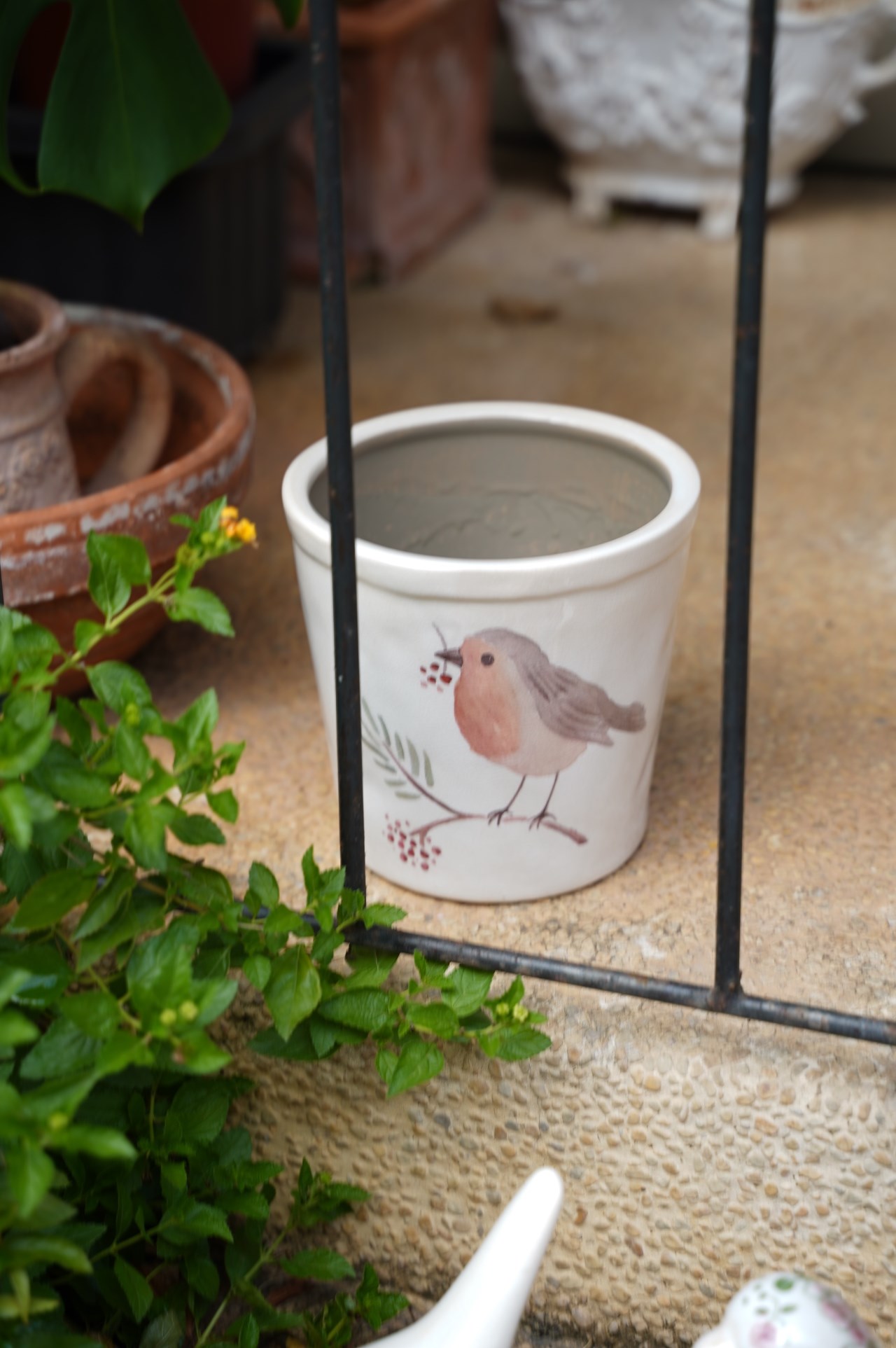 { 荷蘭雜貨 } ∞ 雀鳥花盆