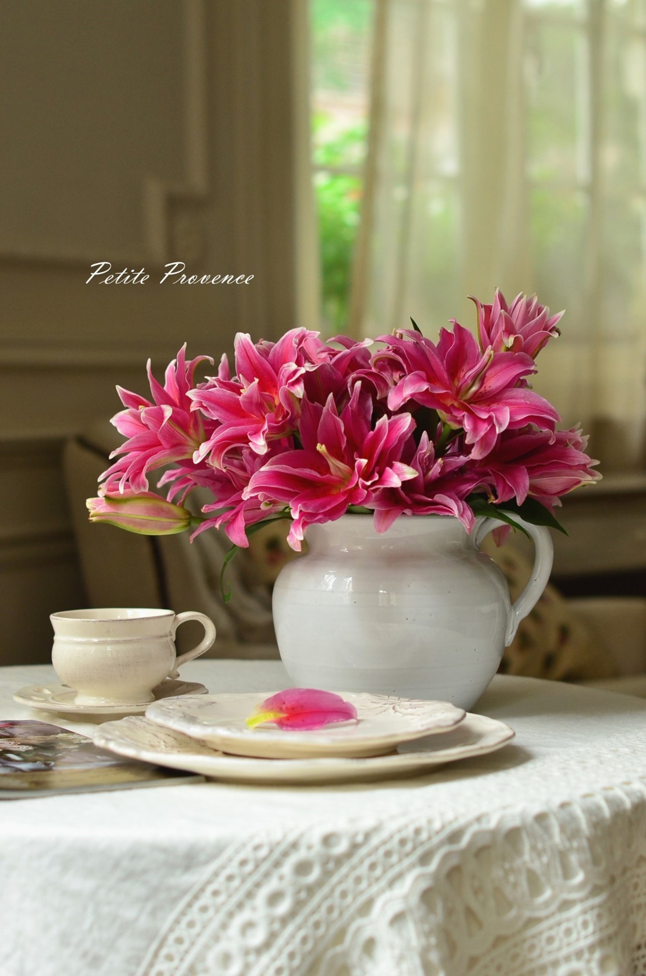 {VIRGINIA CASA}  GALESTRO 花器