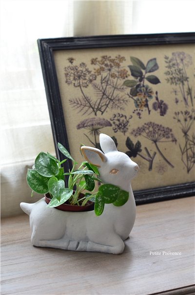 { 荷蘭雜貨 }∞小鹿盆器