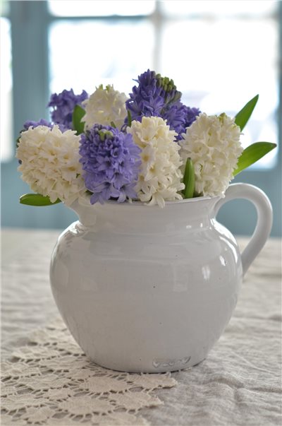 {VIRGINIA CASA}  GALESTRO 花器